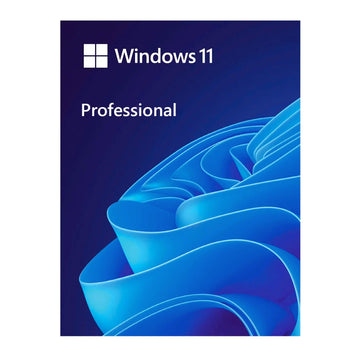 Microsoft Windows 11 Pro / 64 bit / OEM / Single License